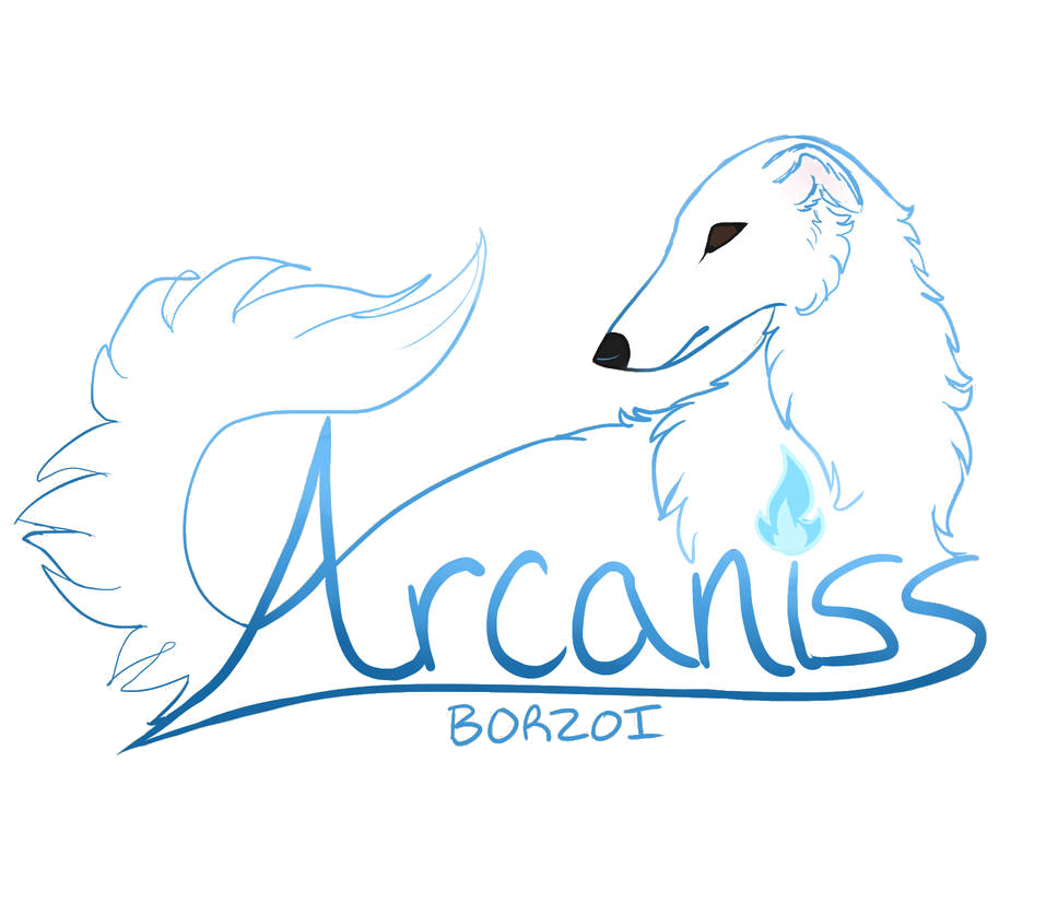 Arcaniss Borzoi